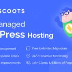 BigScoots logo