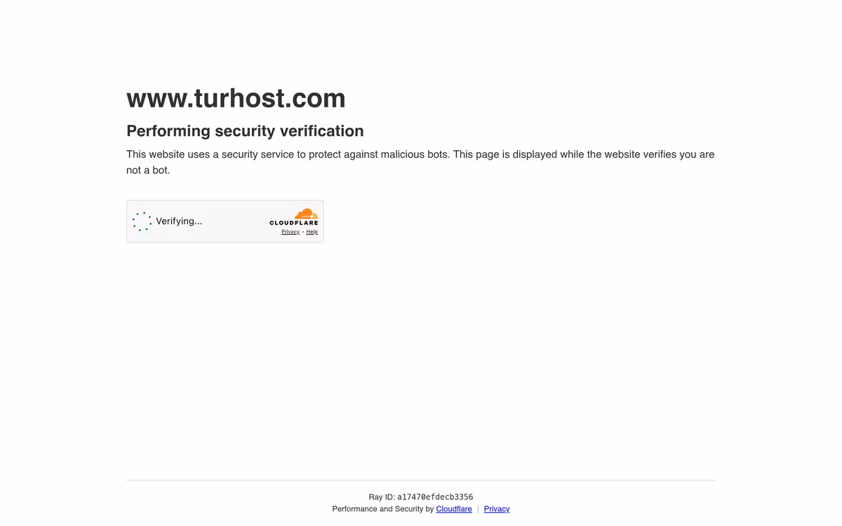 Turhost homepage screenshot